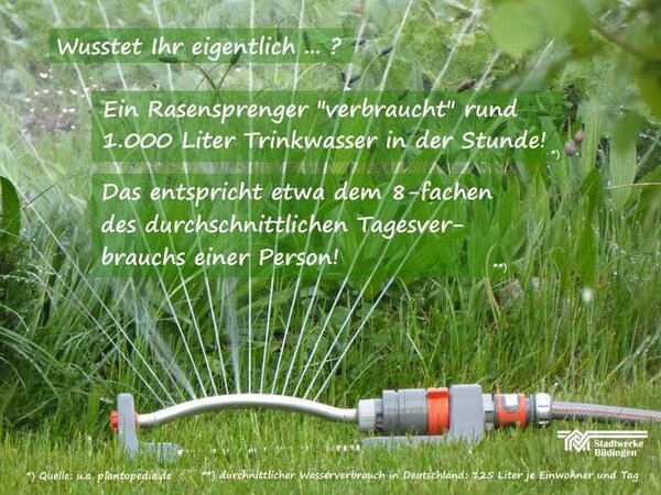 30.06.2025 Verbrauch eines Rasensprengers