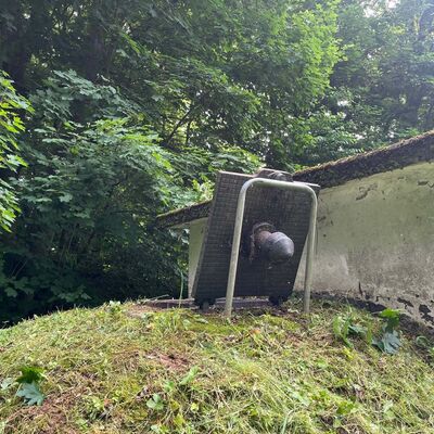 03.06.2025 Pumpenaustausch Brunnen Michelau 4